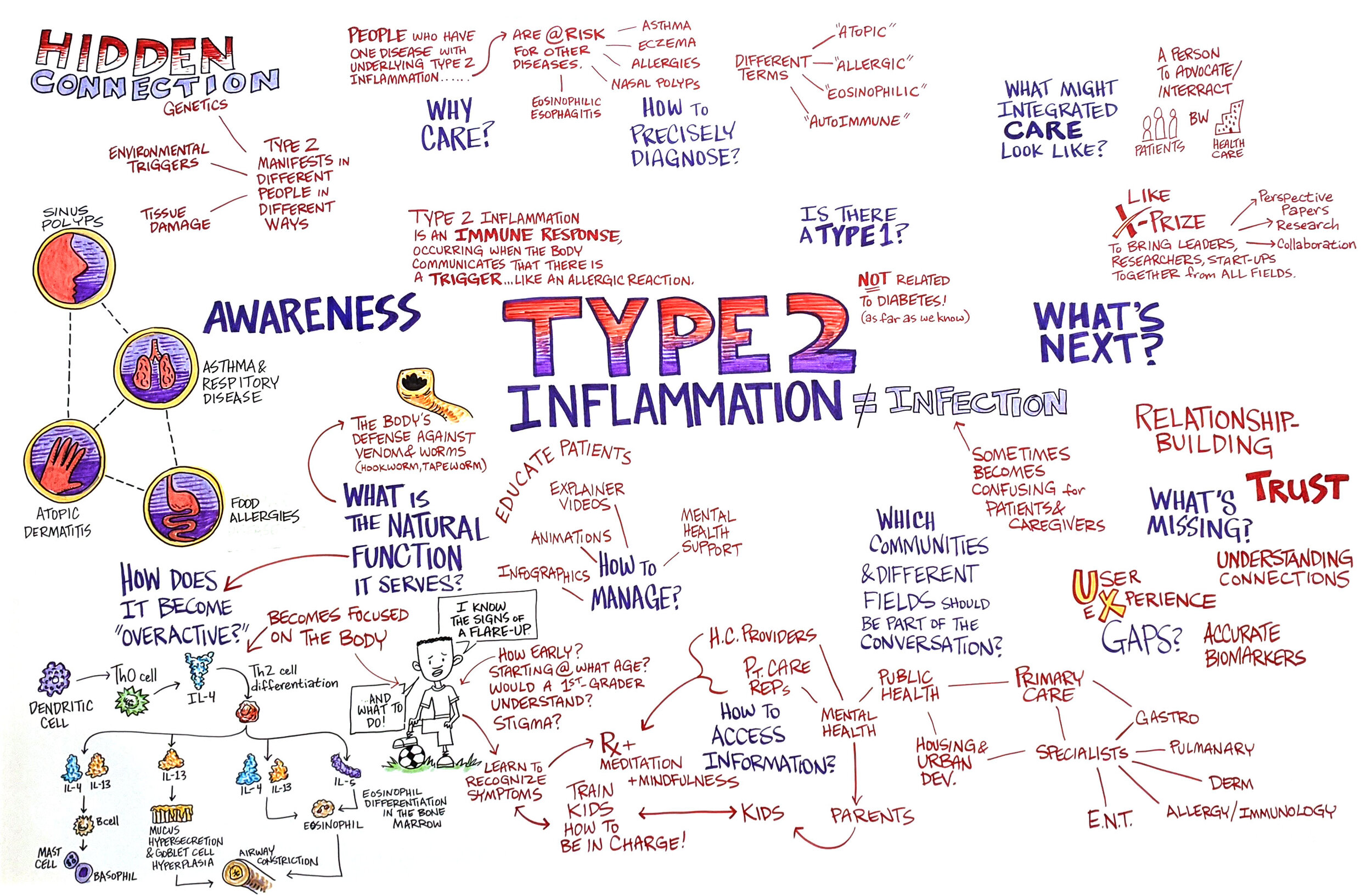 TEDMED2020-Type2-Inflam_Board2_FULL-2.jpg