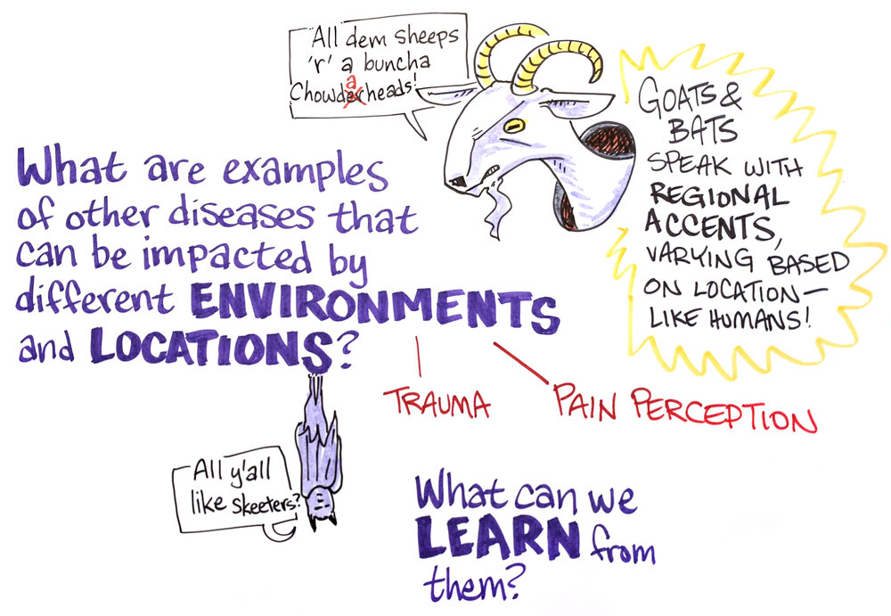 TEDMED2020-Type2-Inflam_Board1_GOATS+BATS.jpg