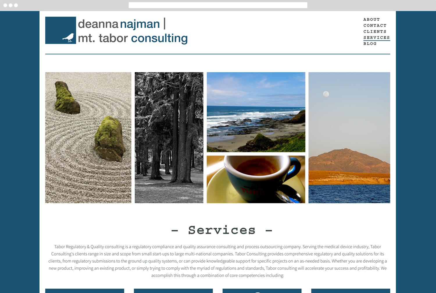 Deanna Najman Website Redesign