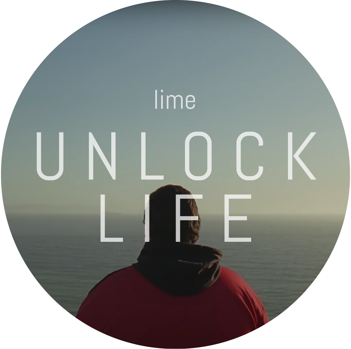 Lime Icon.png