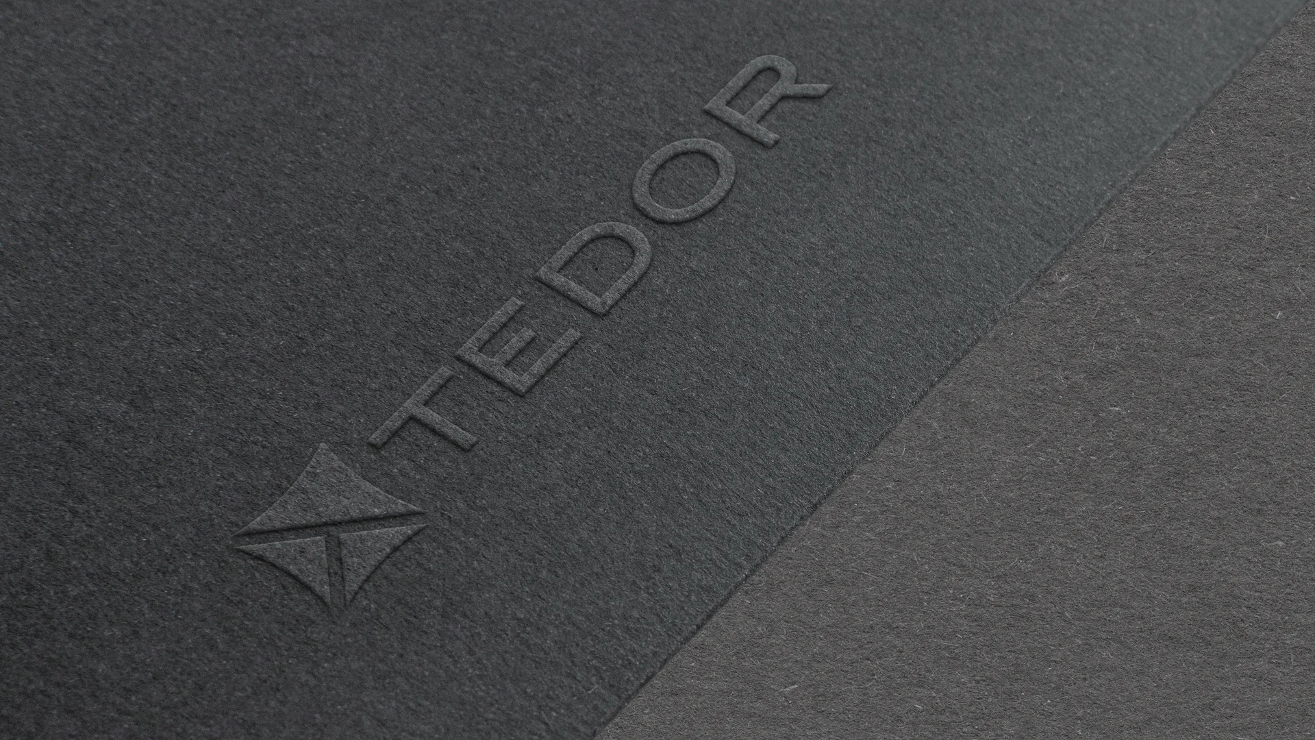 Tedor_Logo_02.jpg