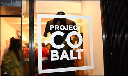 ProjectCobaltSS15.jpg