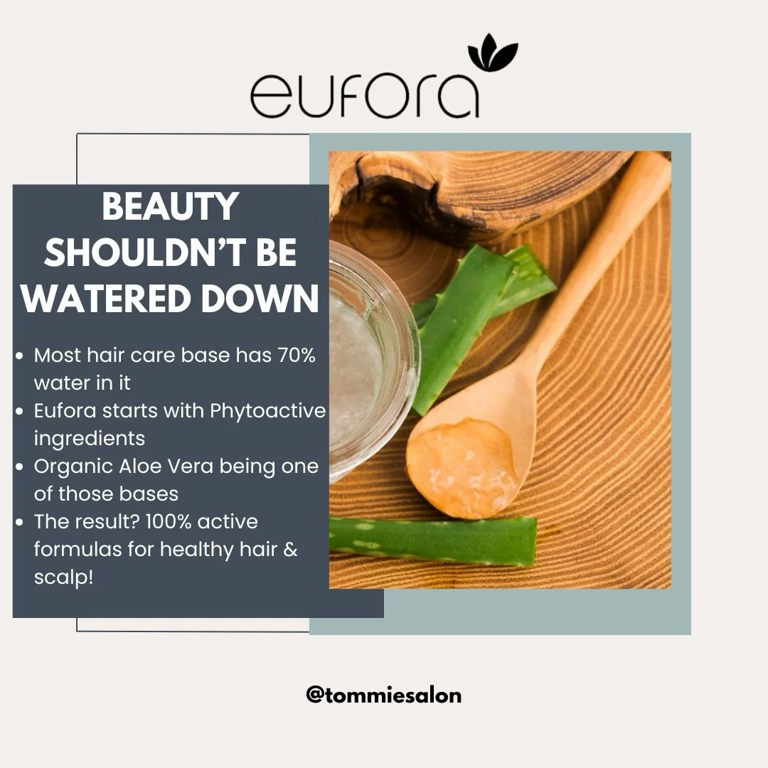 Shop Eufora today! When you buy 2 full size products you receive a complimentary travel bag 🪴 #euforainternational #haircare #aloebased #aloevera #cleanbeauty #shoplocal #yegsalon #yeghair