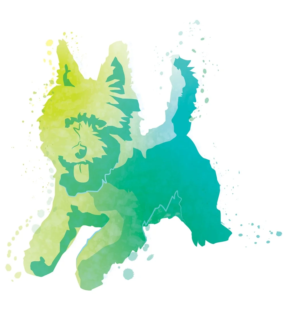Small_Breed_Dog_GB.jpeg