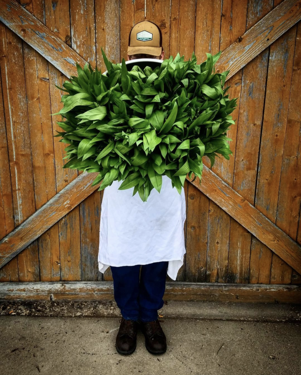 Longtrees-locally-foraged-ramps.png