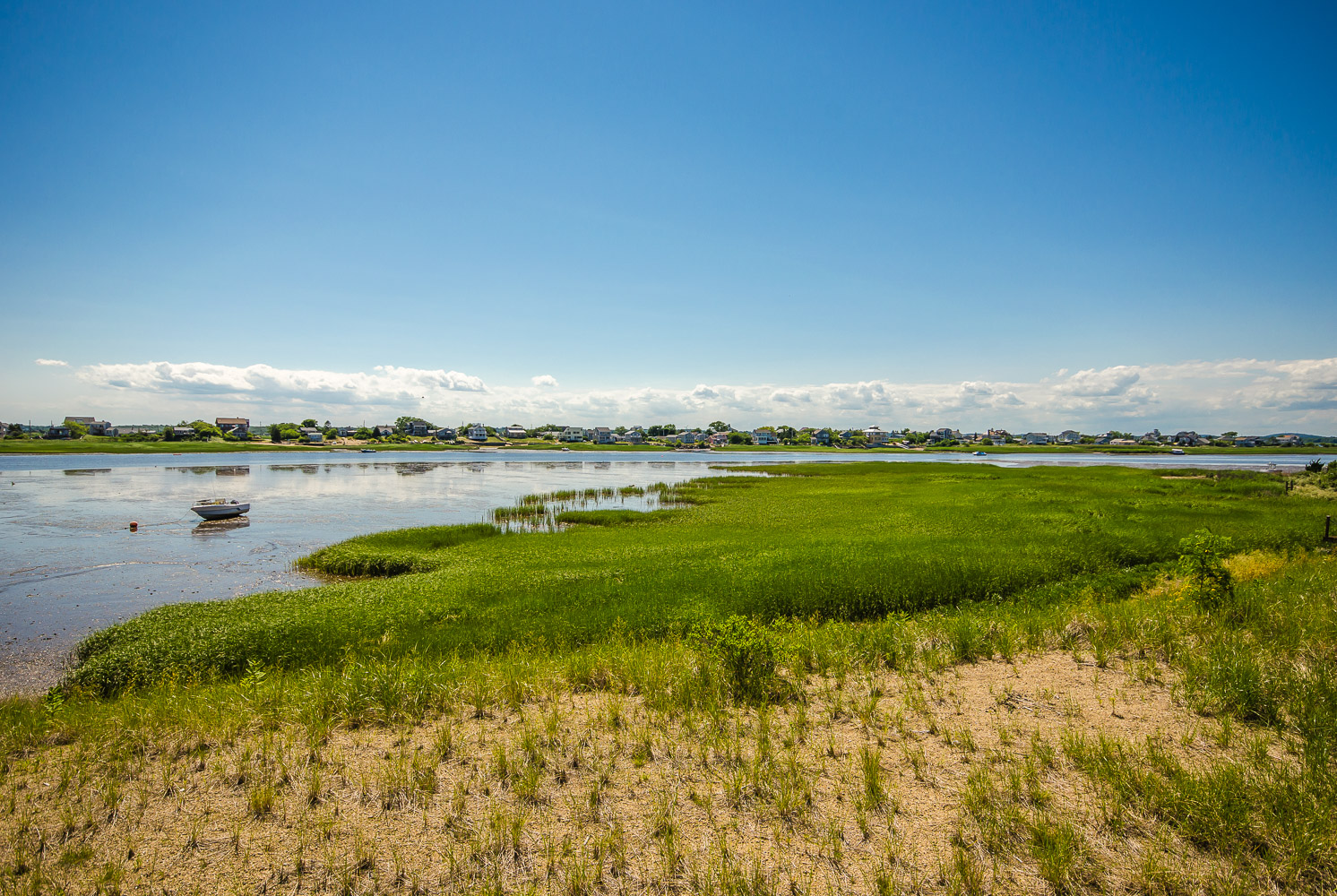 Liz Smith, Plum Island 2014-07-11 135.jpg