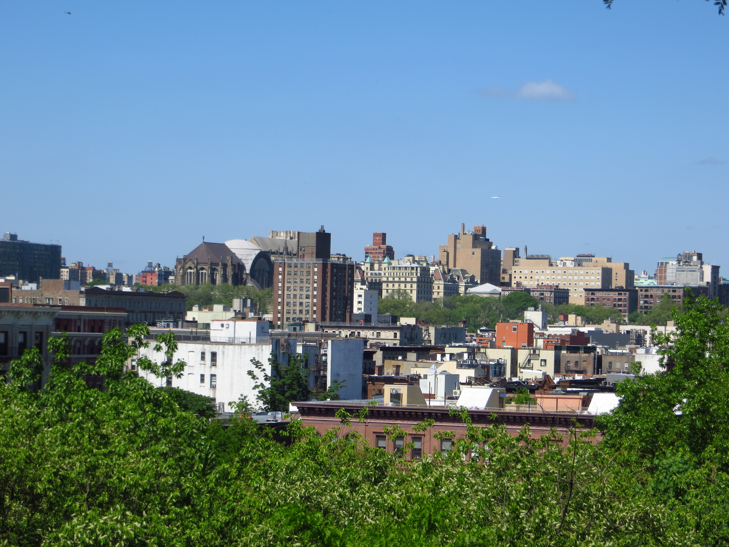 View from Marcus Garvey Park