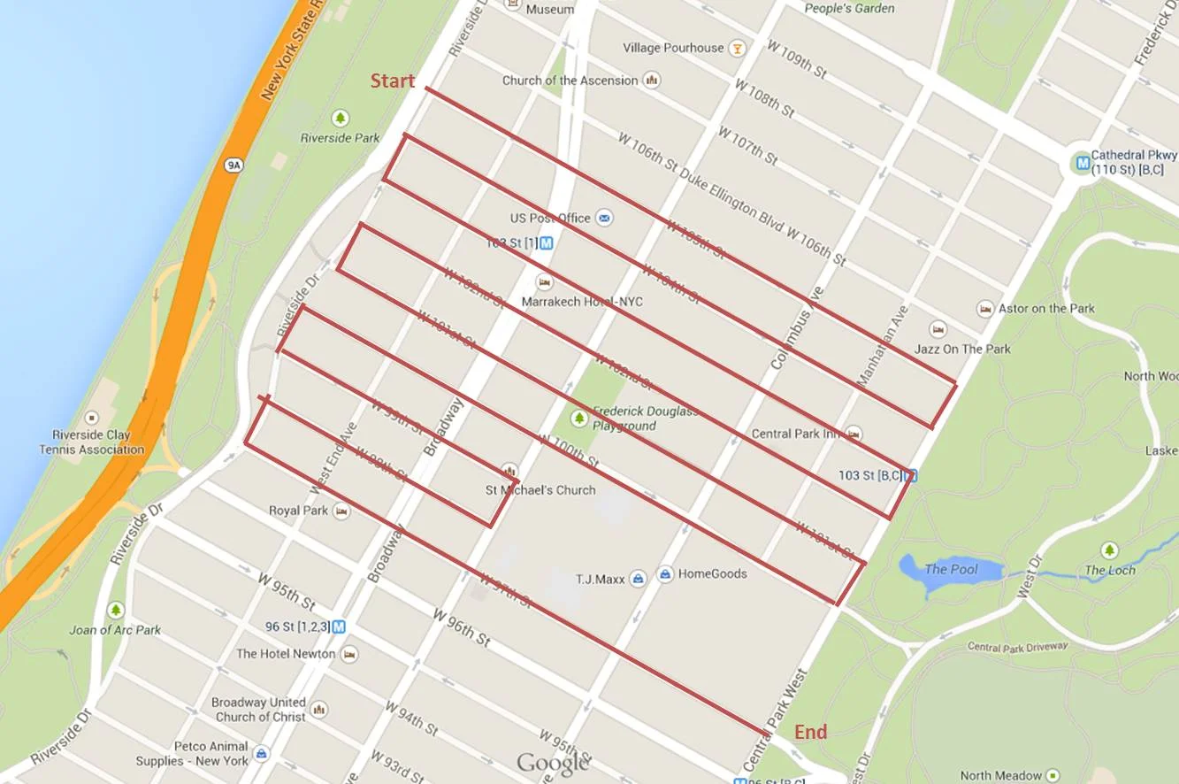 Today's walk
