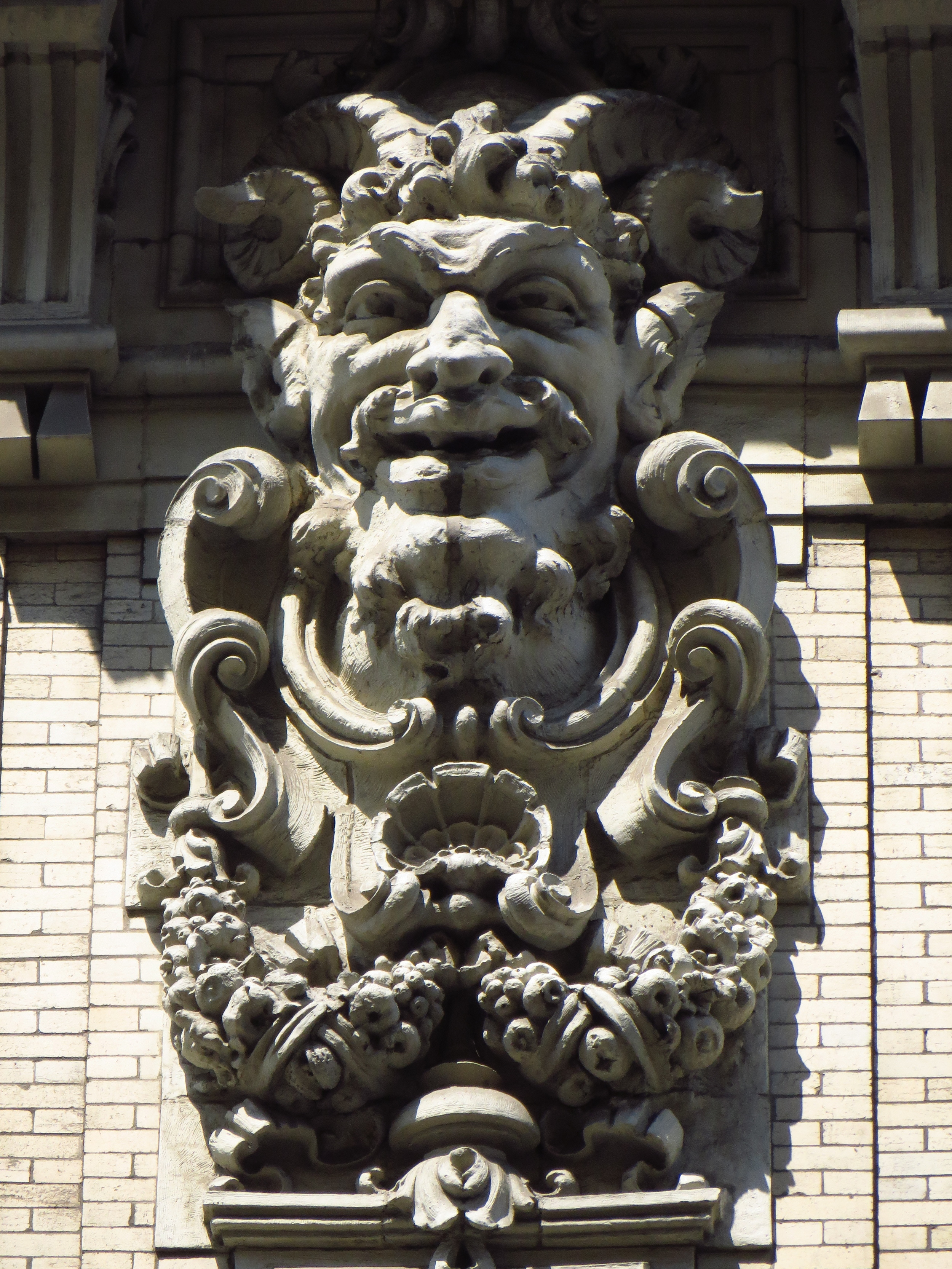 Ansonia face #3