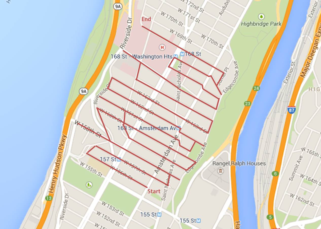 Today's walk