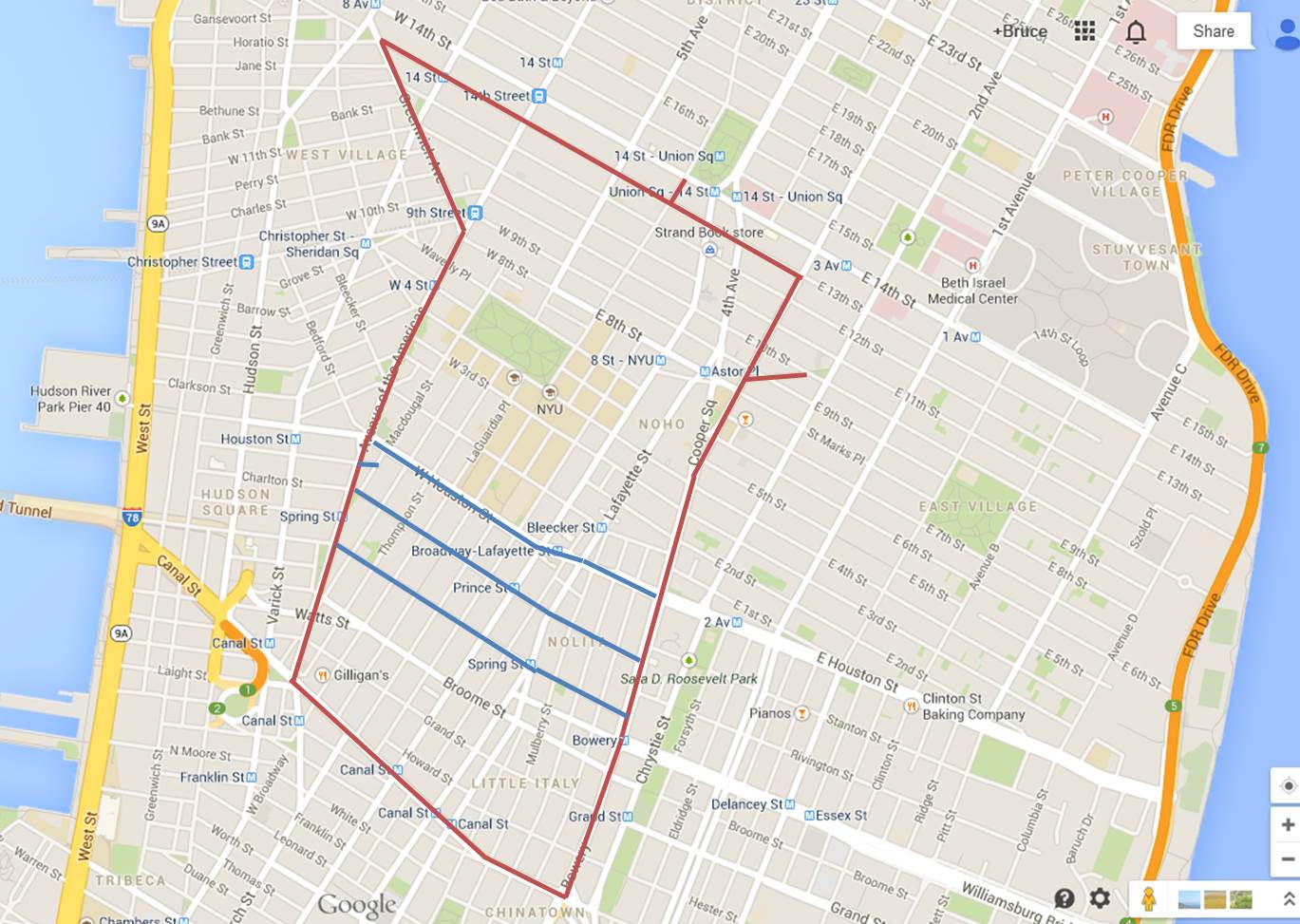 Today's walk (everything inside the red lines, 02/20/2014 portions in blue)