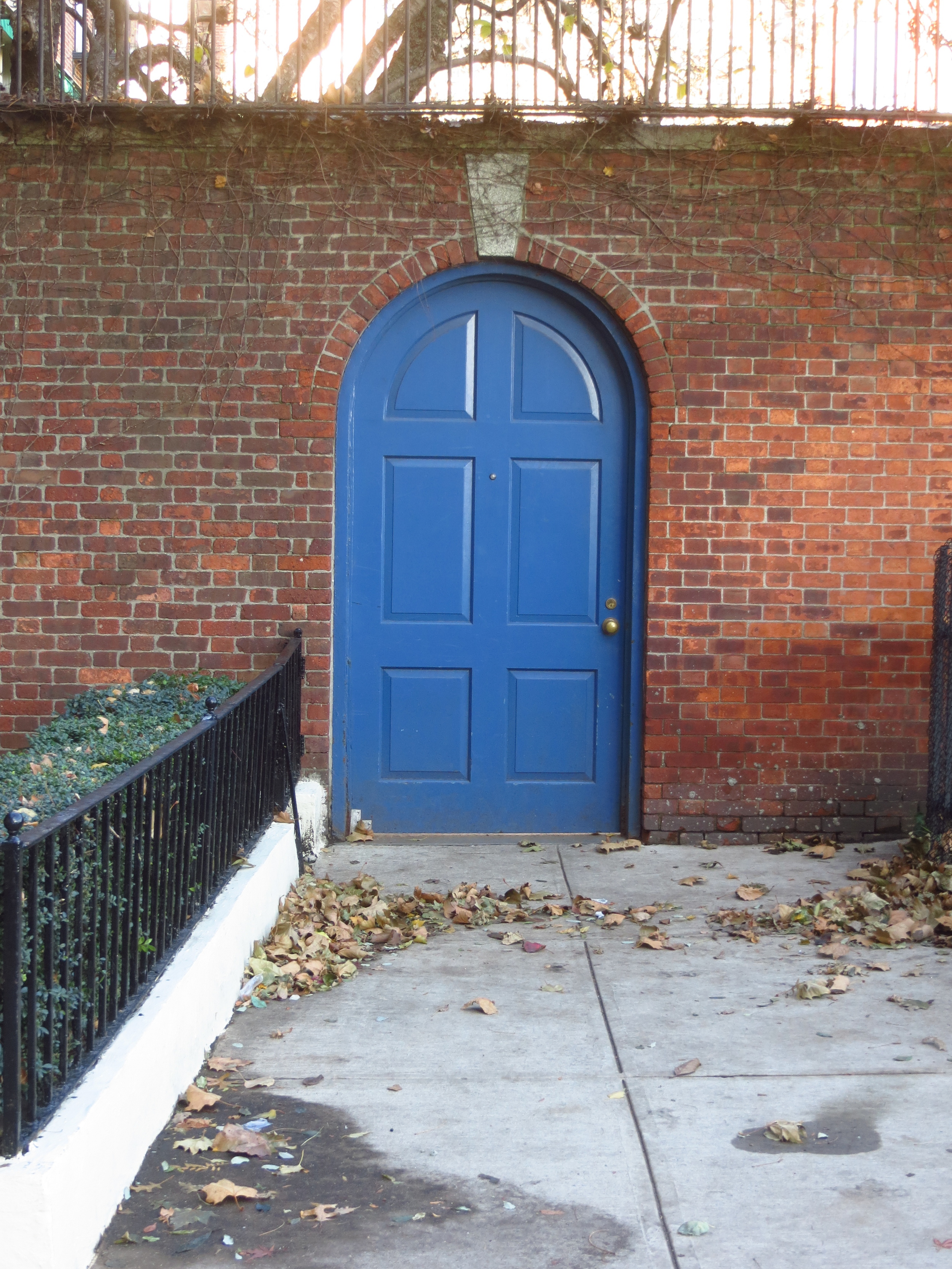 Blue Door