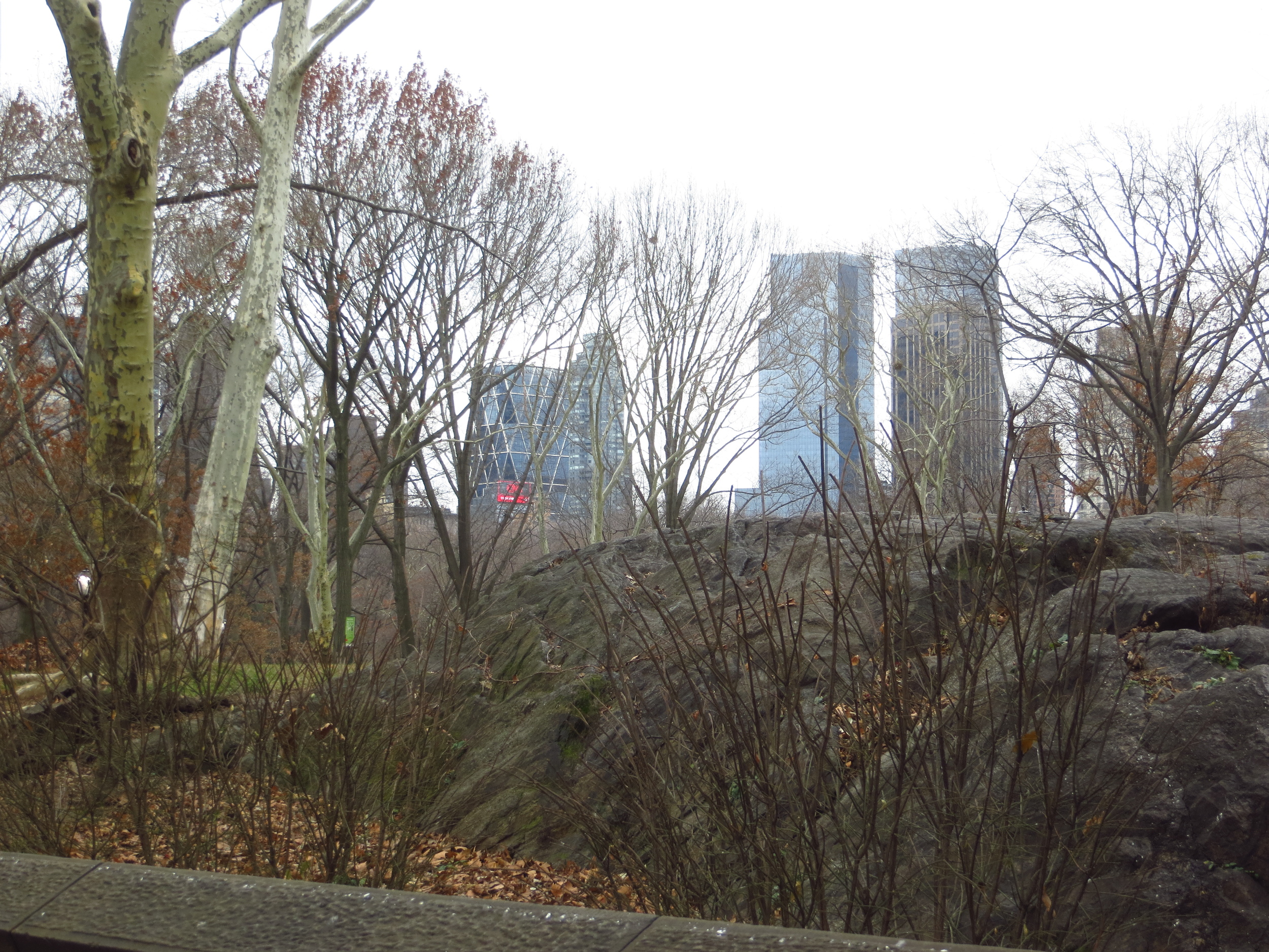 Time Warner Center across the Park