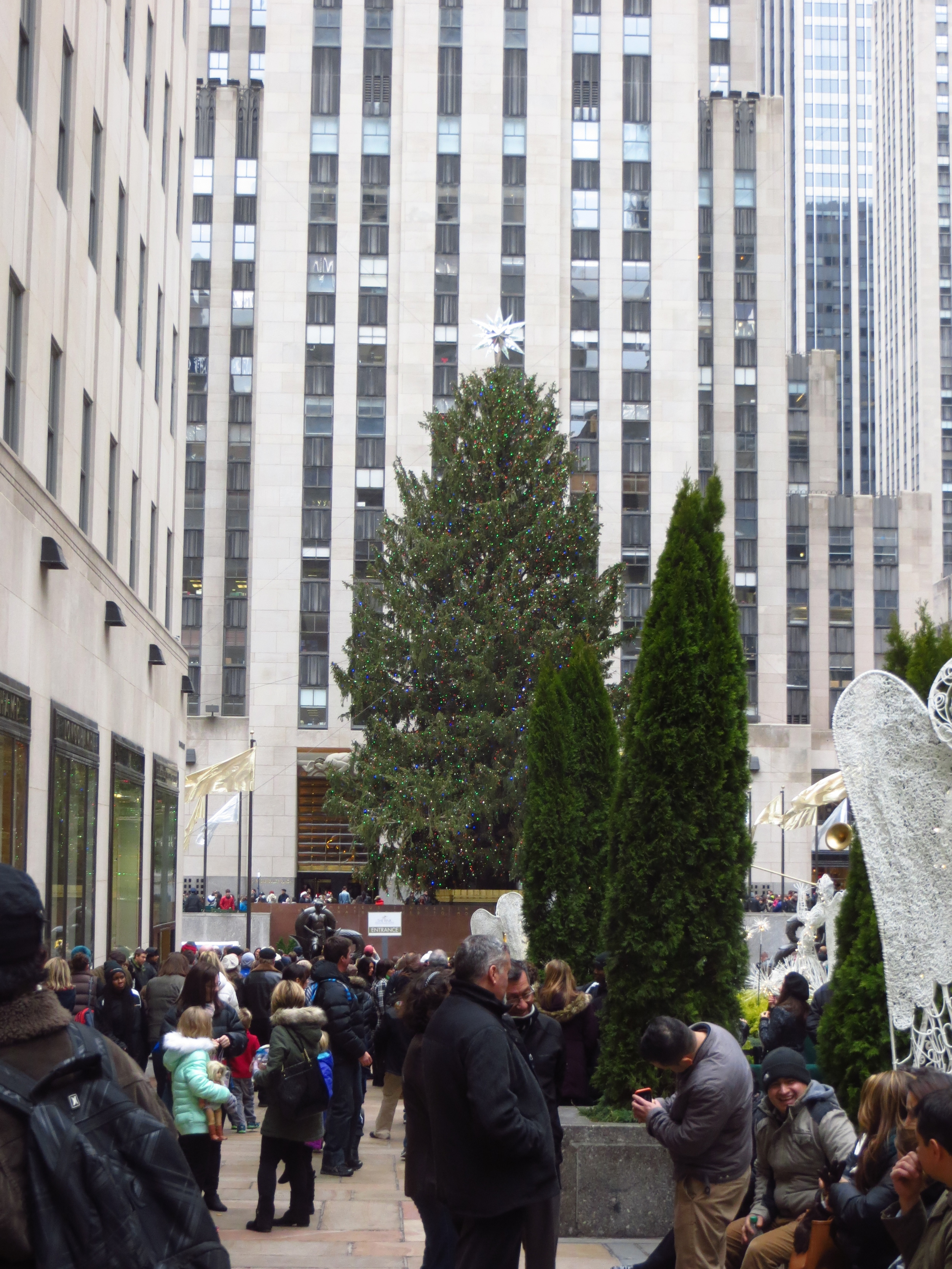 Rockefeller Center Christmas Tree (b. 2014)