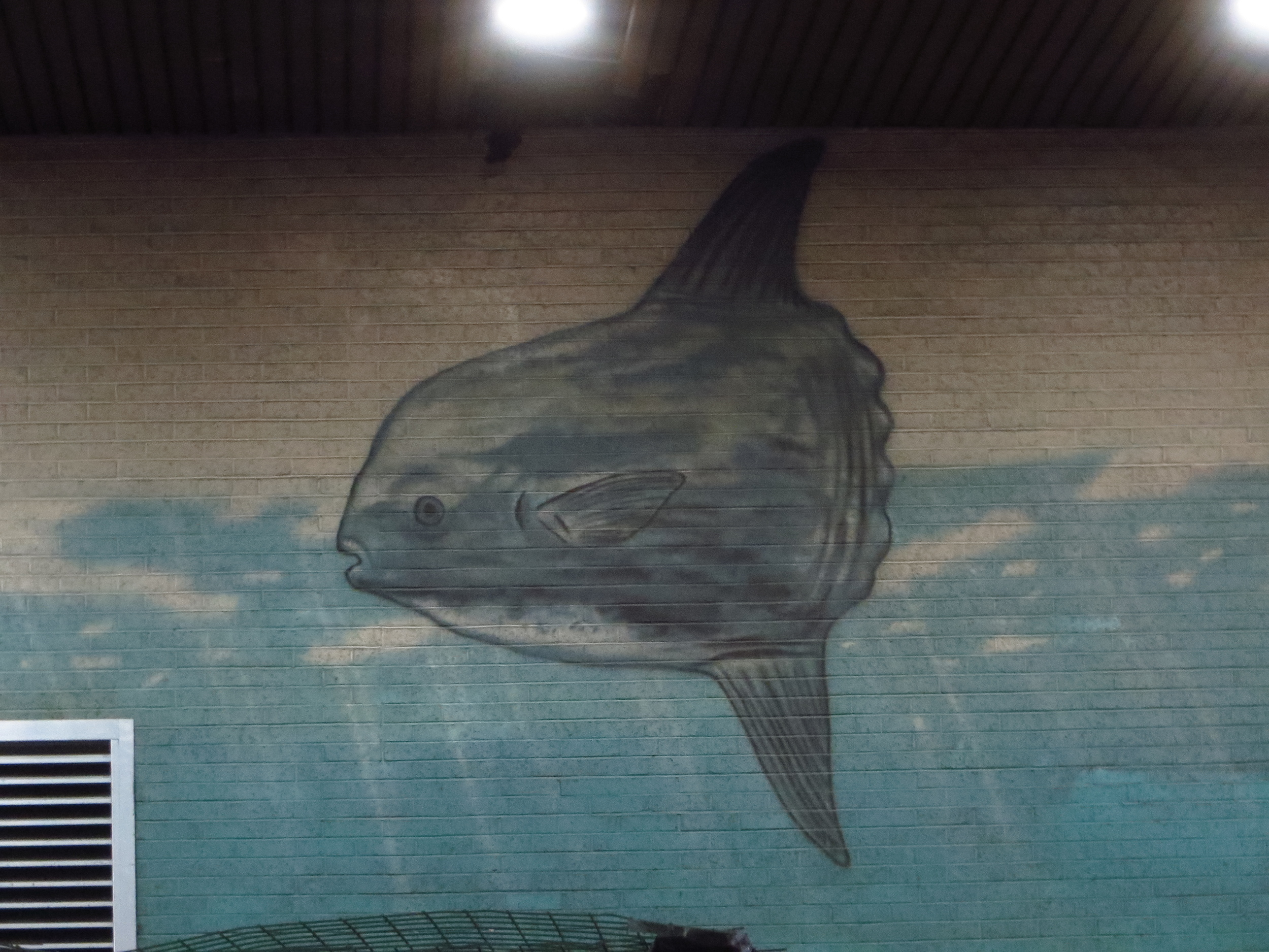 Mola Mural