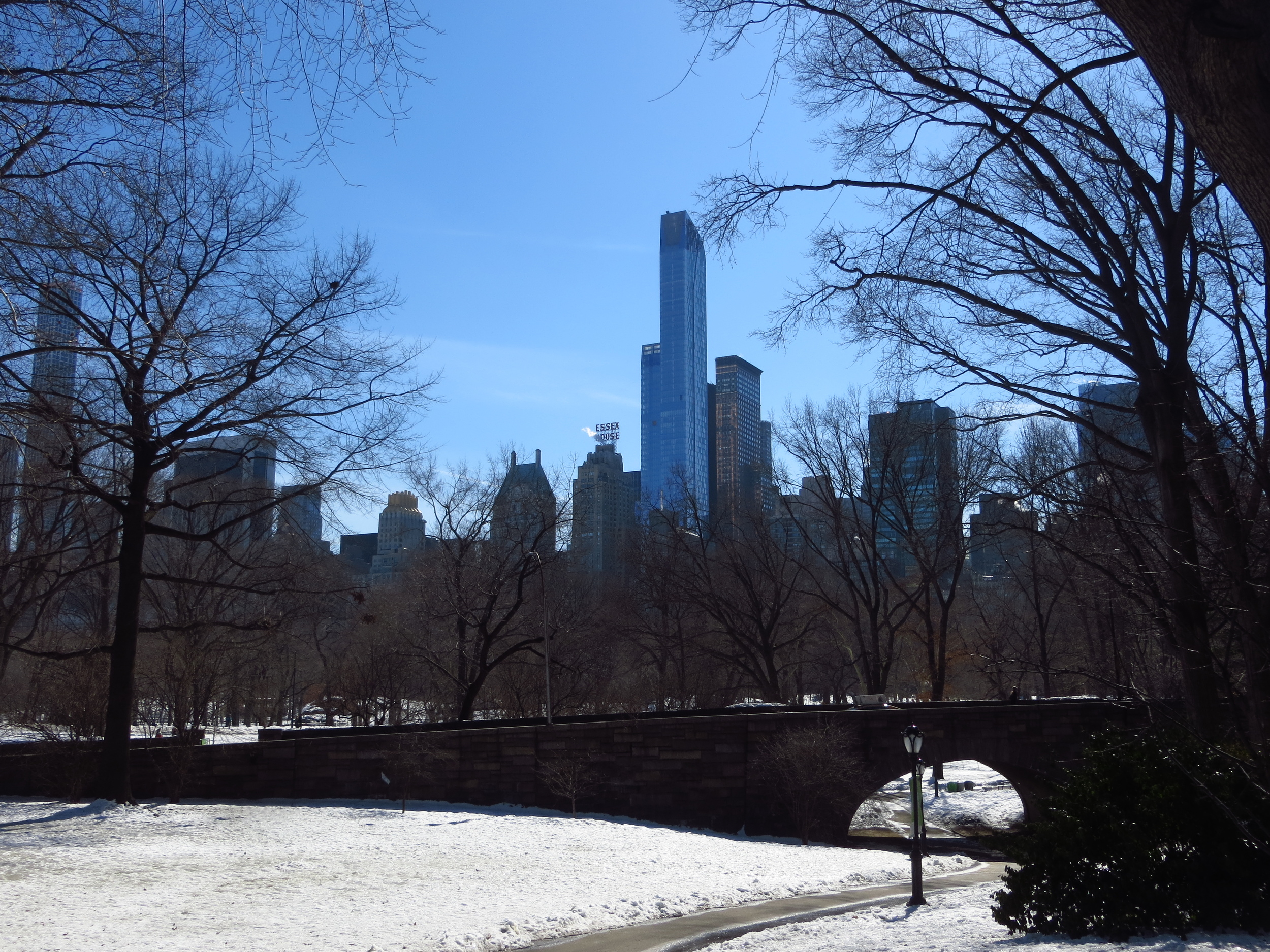 View of Midtown through Central Park