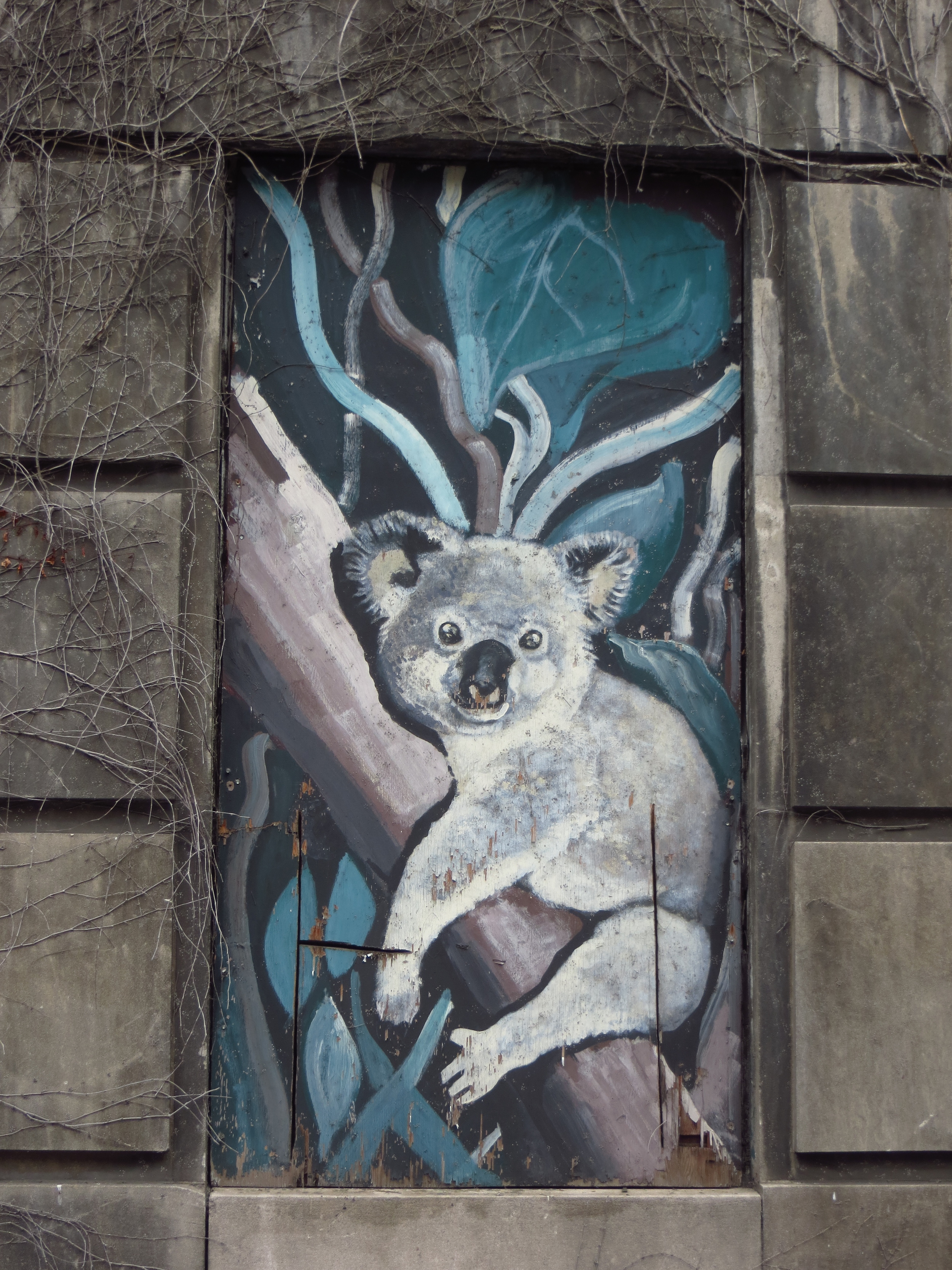 Koala on Boarded-Up Window of Former Psychiatric Hospital