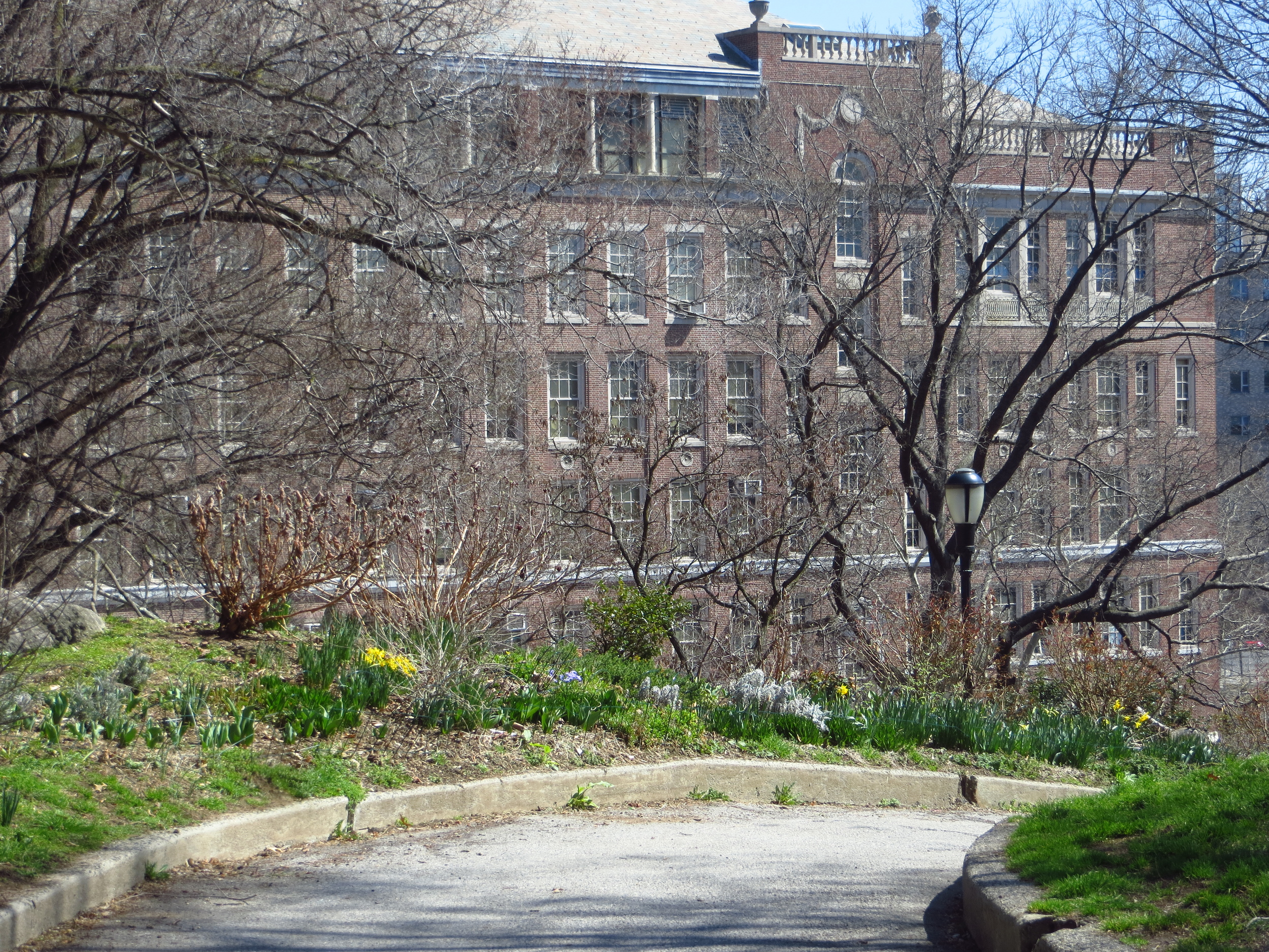 Morningside Park