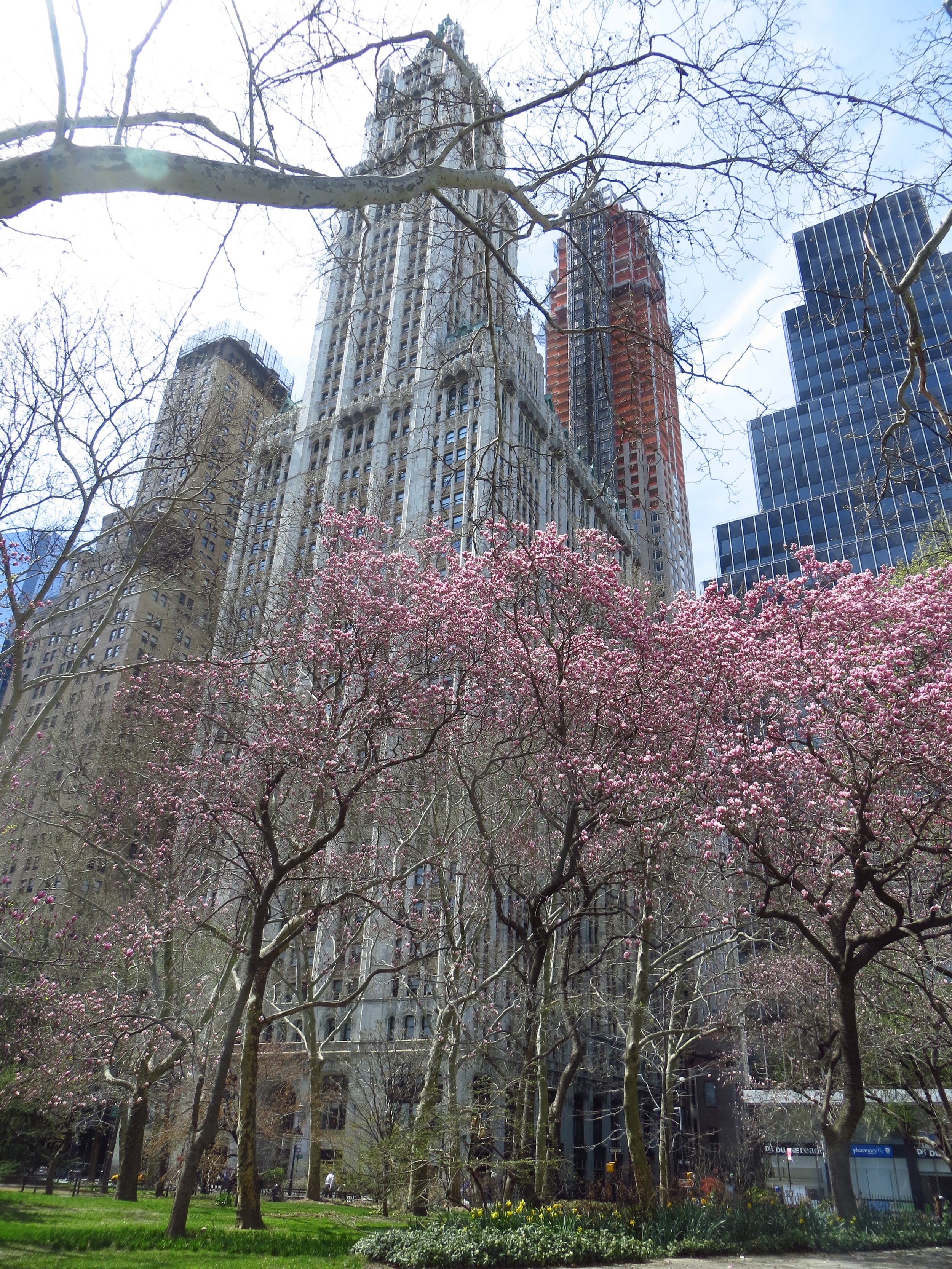 Woolworth Building from City Hall Park