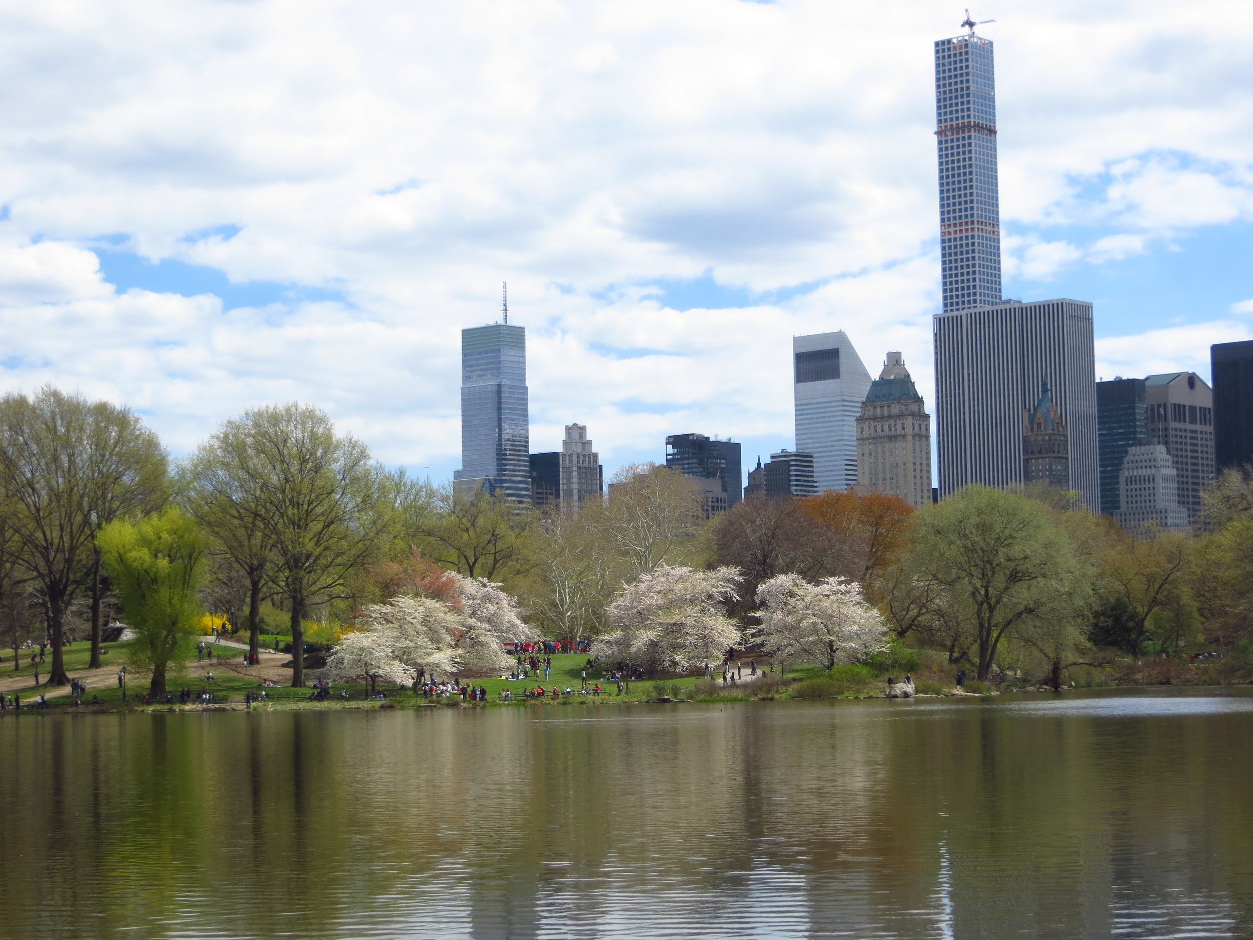 View of Midtown from Central Park