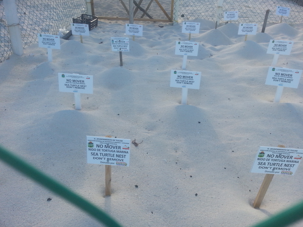 20130730_174857.jpg