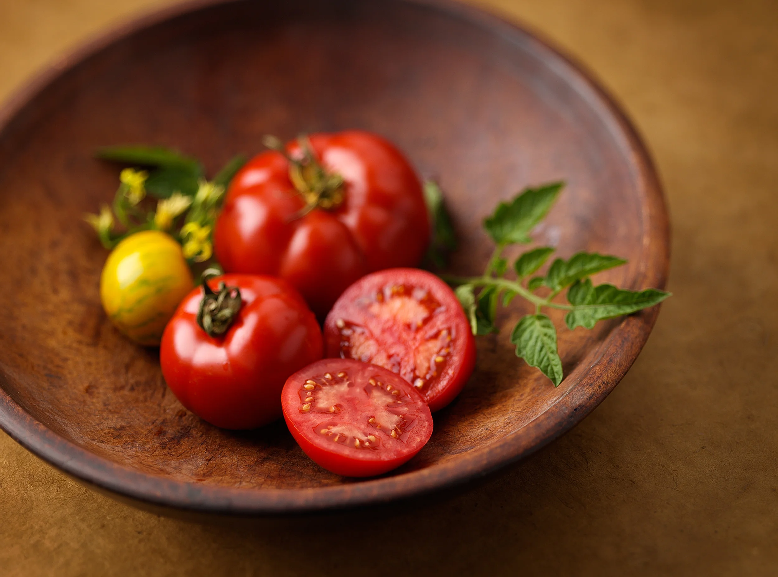 29_TomatoOrganic_lamotteVa.jpg
