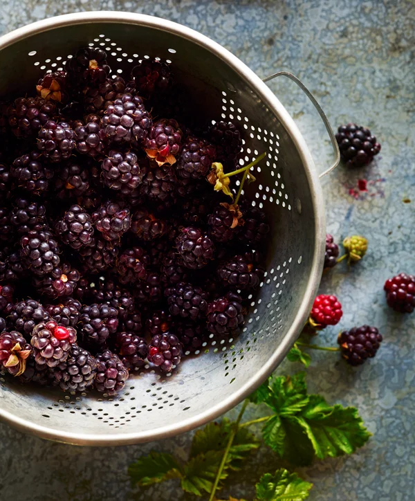 abreakey-Berry-Opener-15.jpg