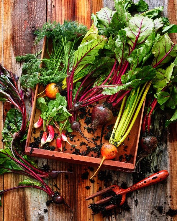 abreakey-beets.jpg