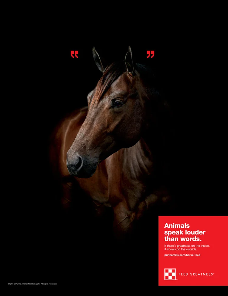 Purina_HorsePrint.E2QCs_web.jpg
