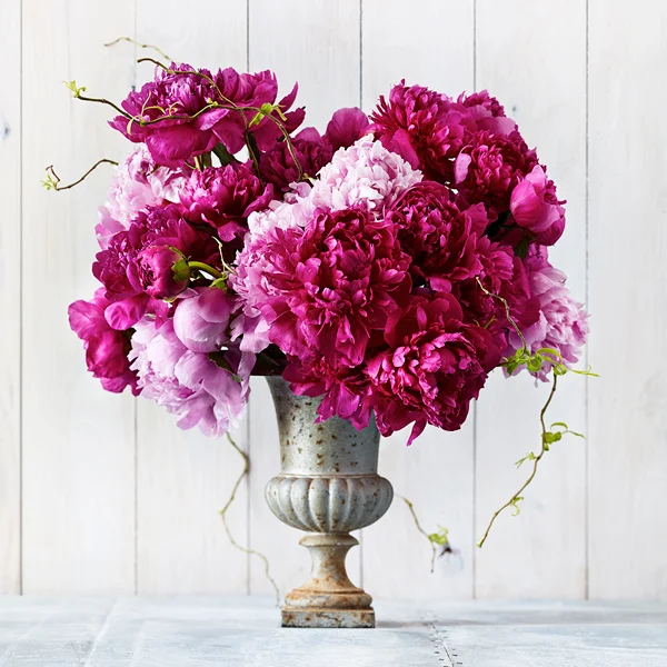 abreakey-braverybouquet.jpg
