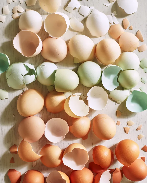 abreakey_eggshells.jpg