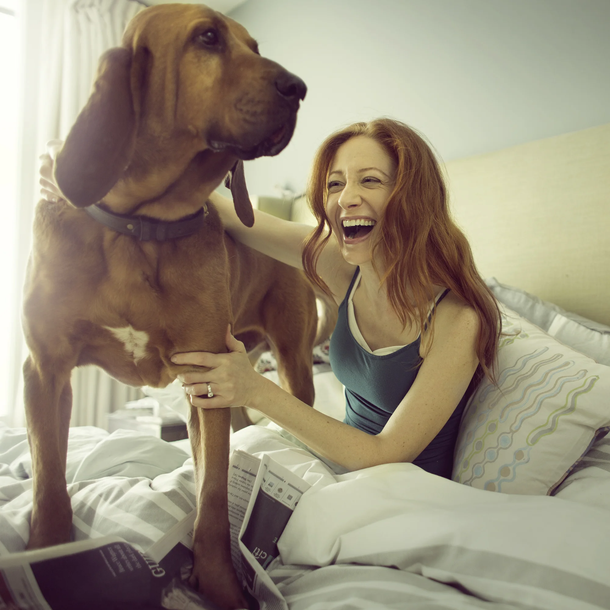 SF_Sealy_141120_TEM112_Dog2_0061_Master3_RGB.LessRed.jpg