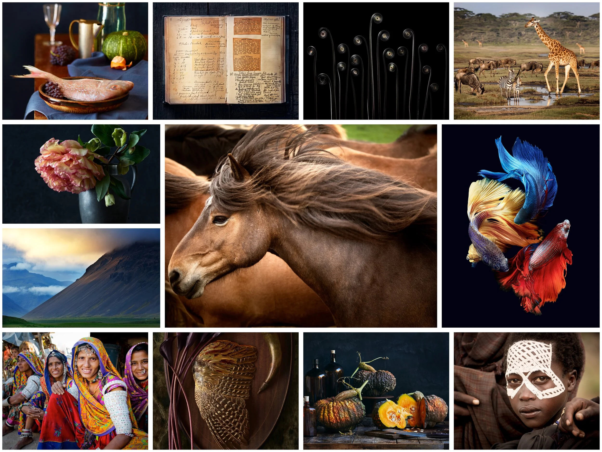 annabelle breakey launches photo for charity