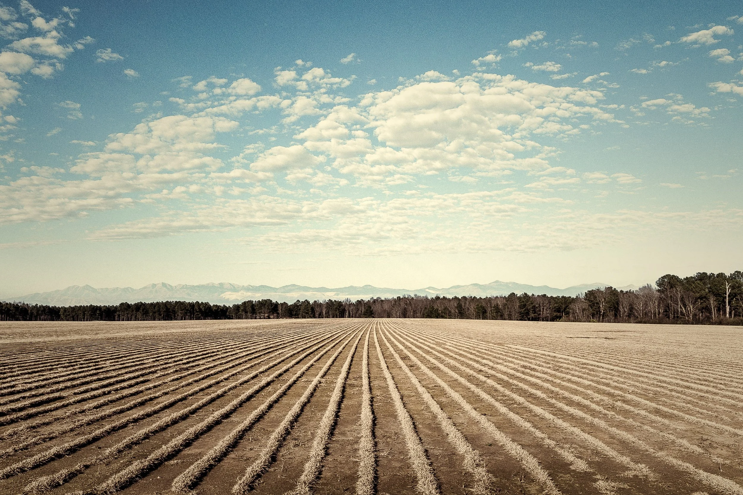 turley_130121_6976mv2.jpg