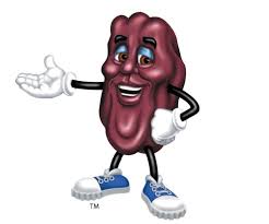 California Raisin Board.jpg