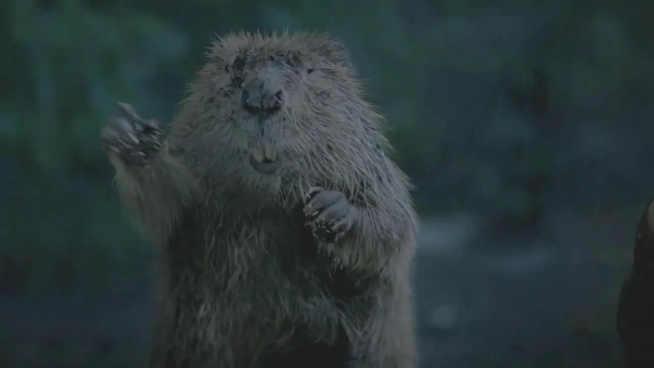 21a screenshots Bridgestone SB Karma AWW 1.jpg