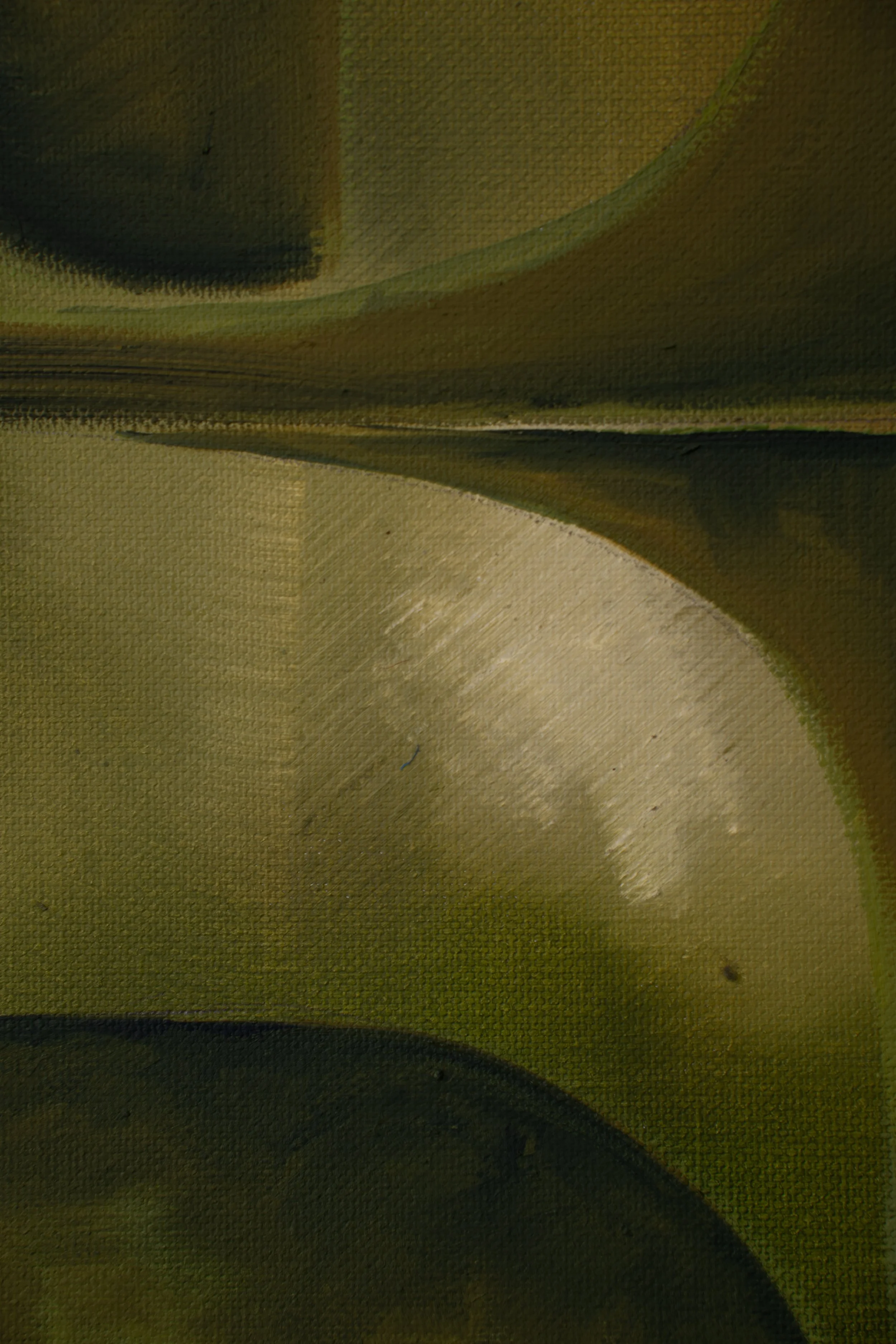 DSC09816.jpg