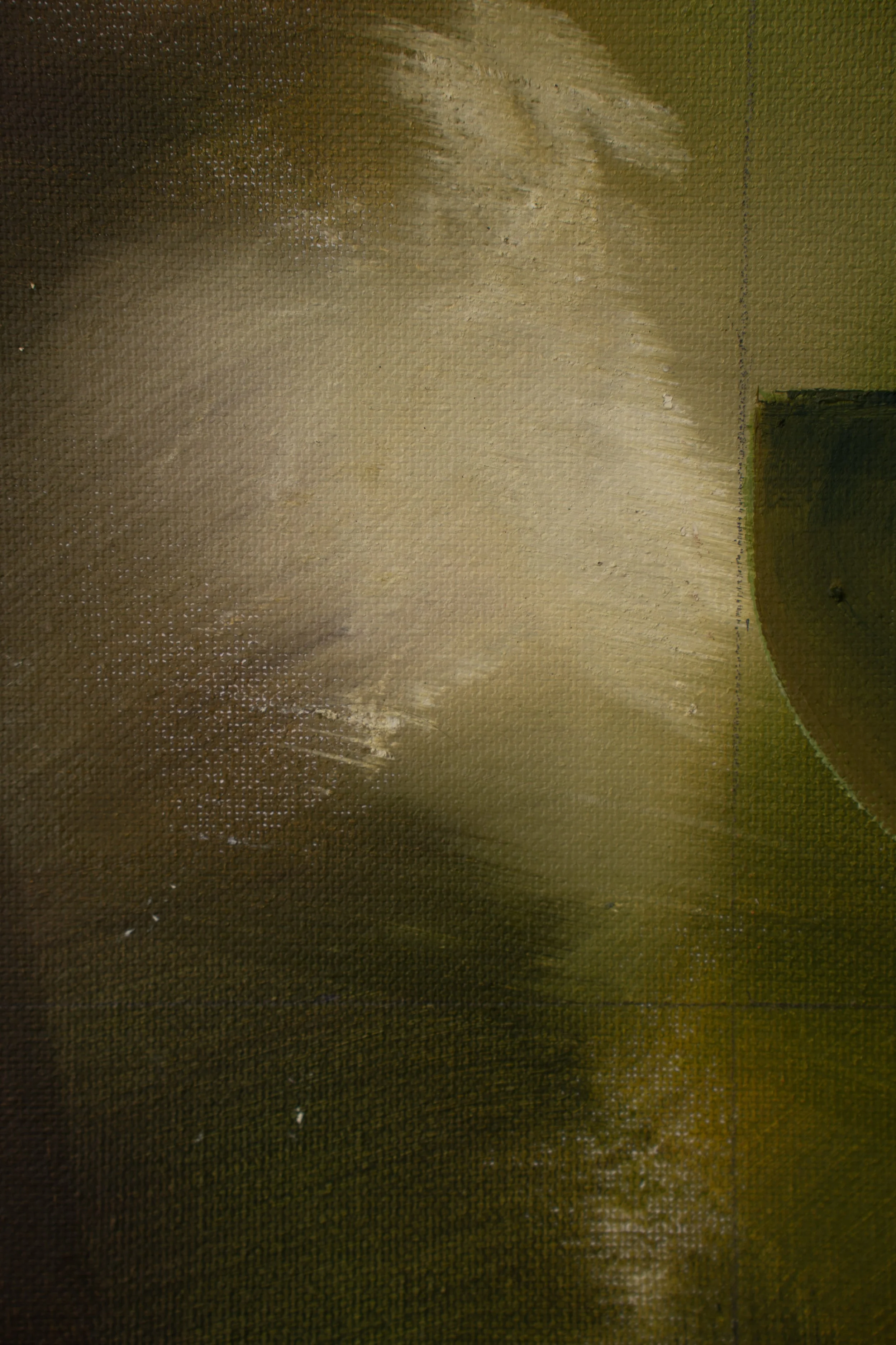 DSC09817.jpg