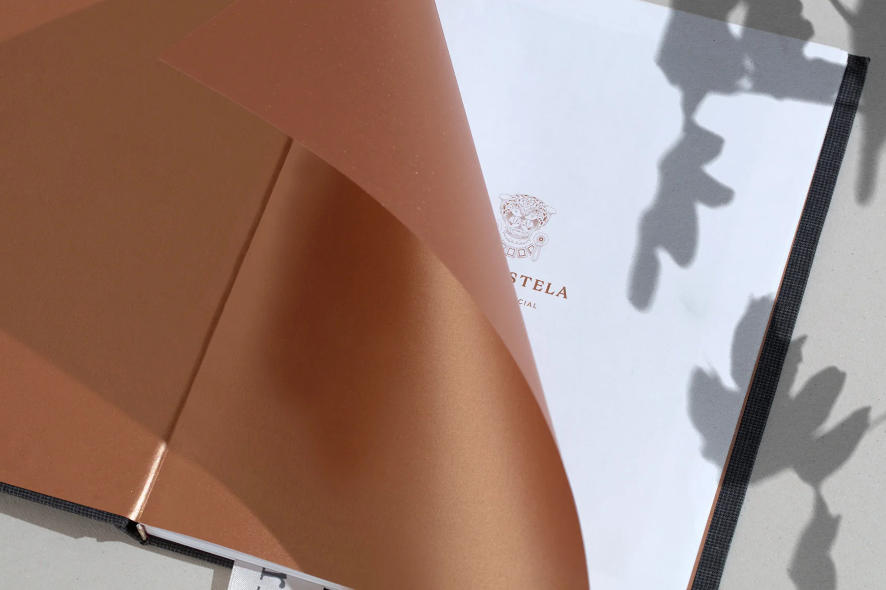 byfutura_compostela_005.jpg