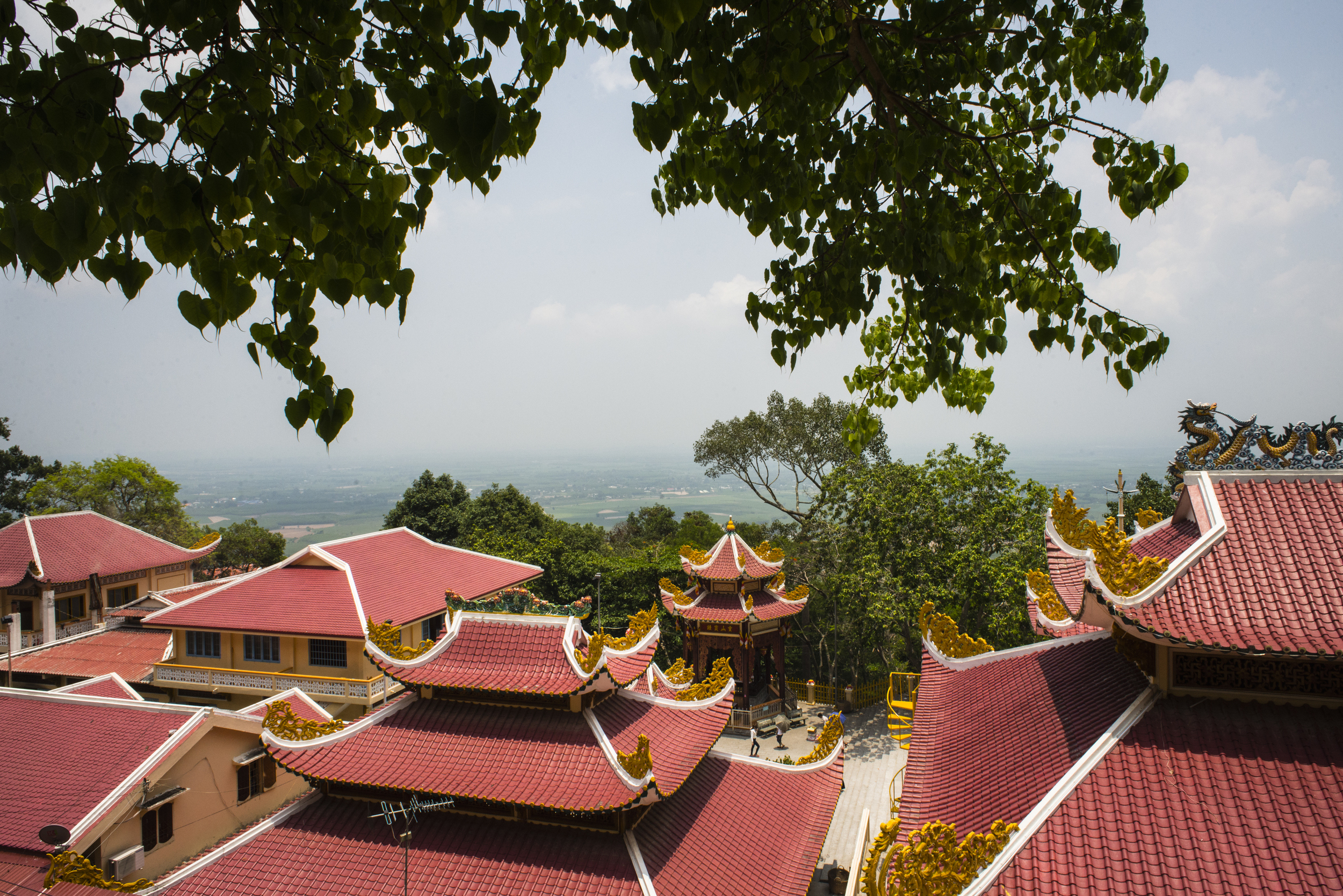 Tay Ninh/ Glen Riley/ Word Magazine