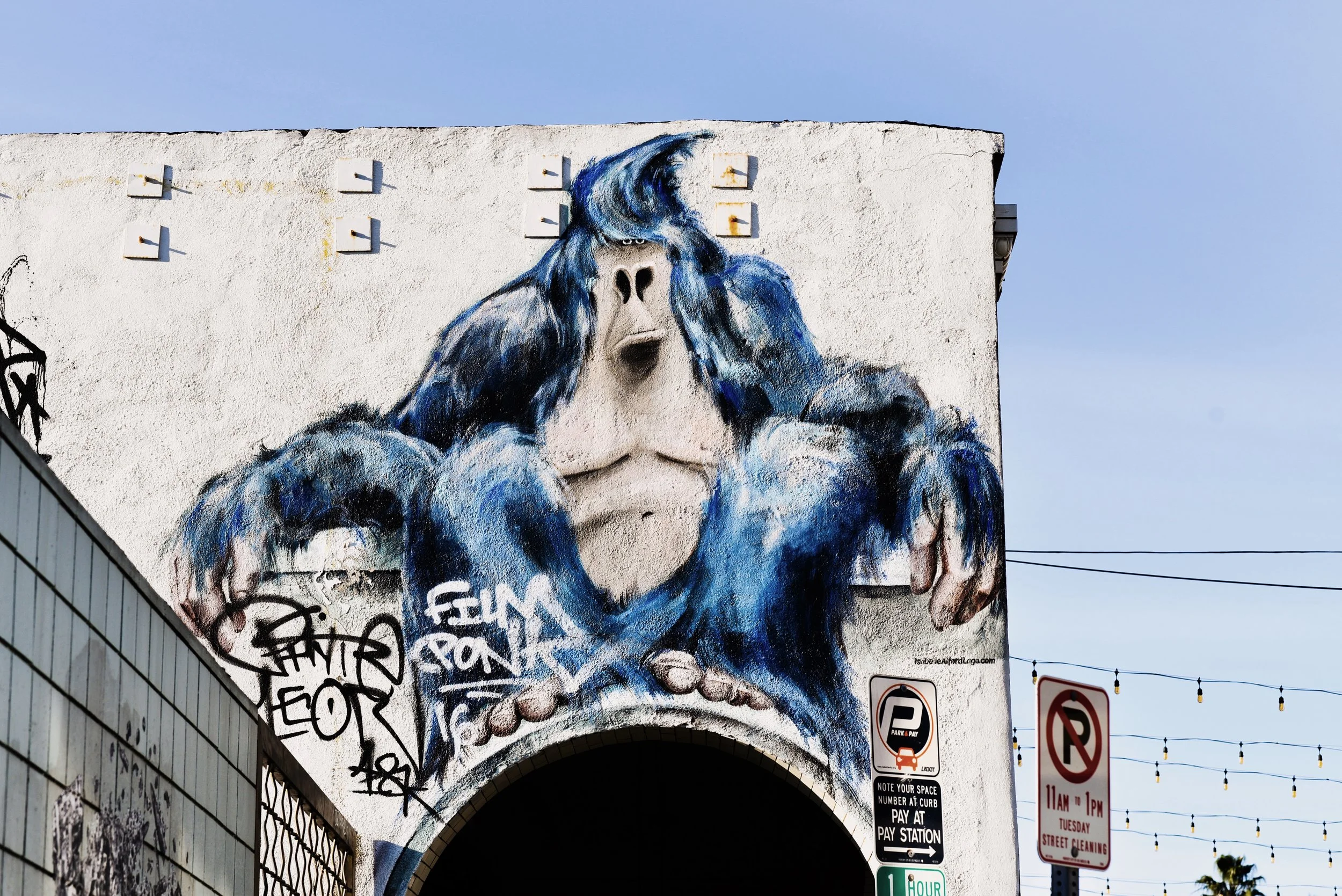 91113684-1CA5-4342-9D47-FCDB899A9B41.jpg