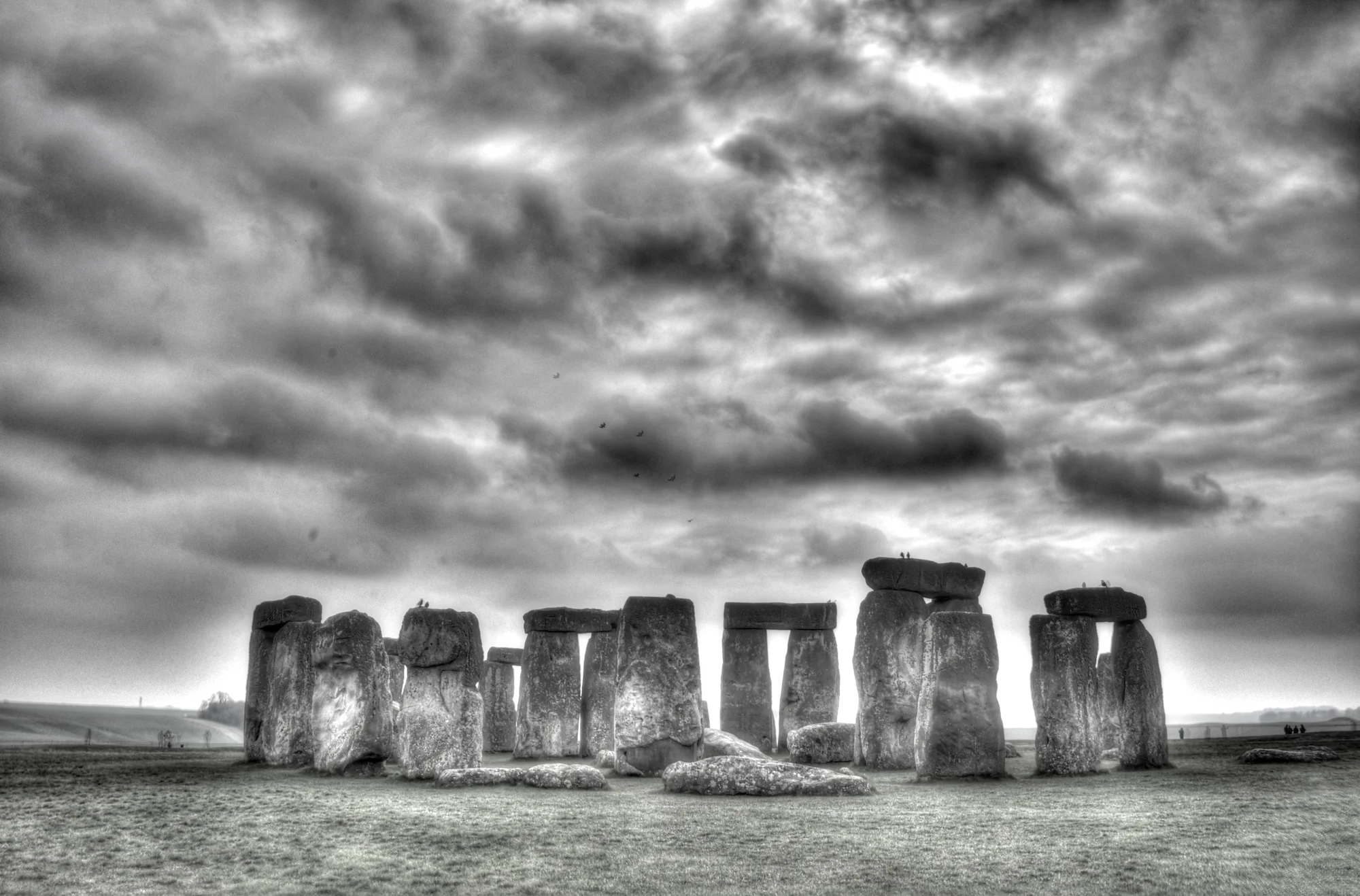 Chris Nelson PopUpIdeas (3 of 3).jpg