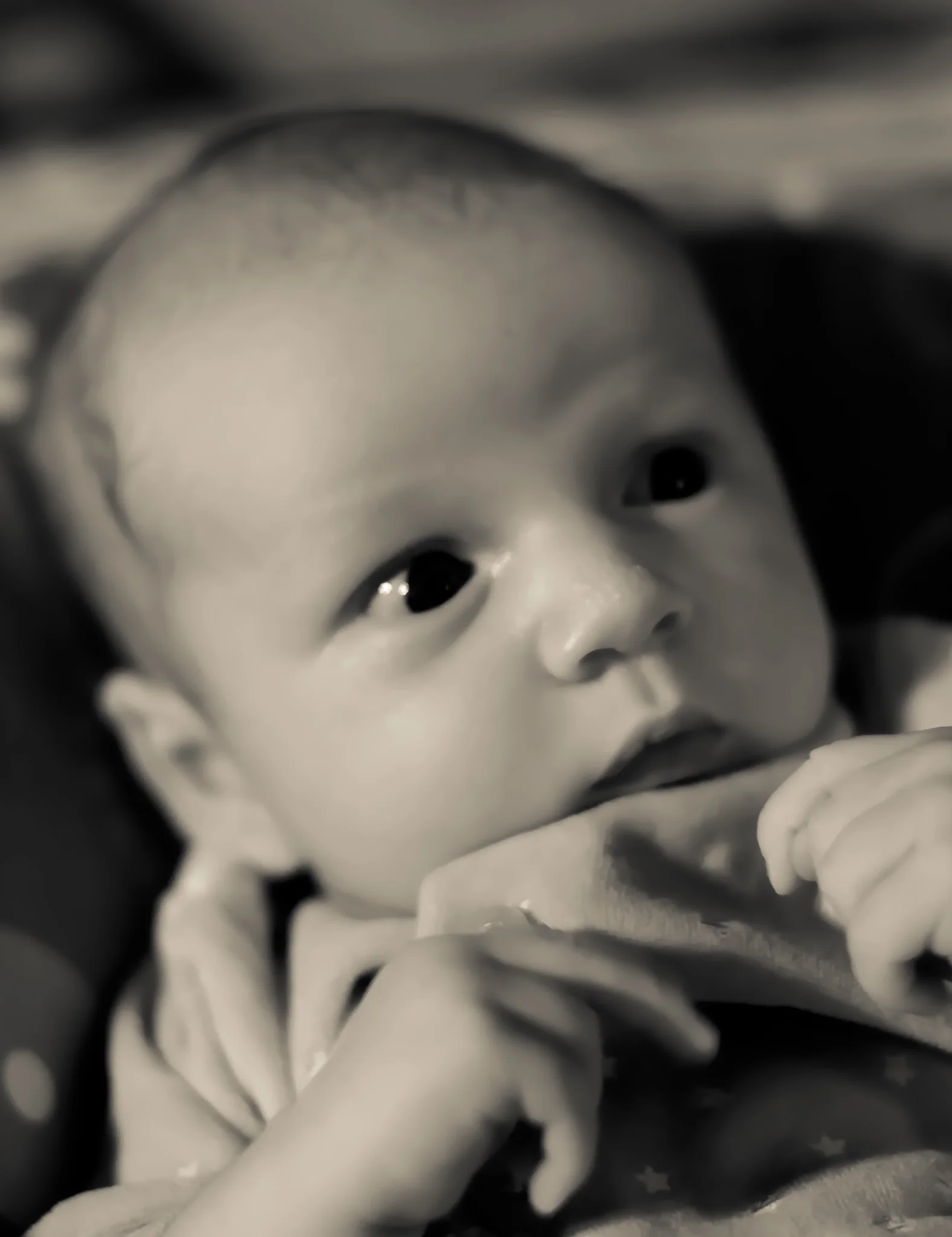 Gavin-155.jpg