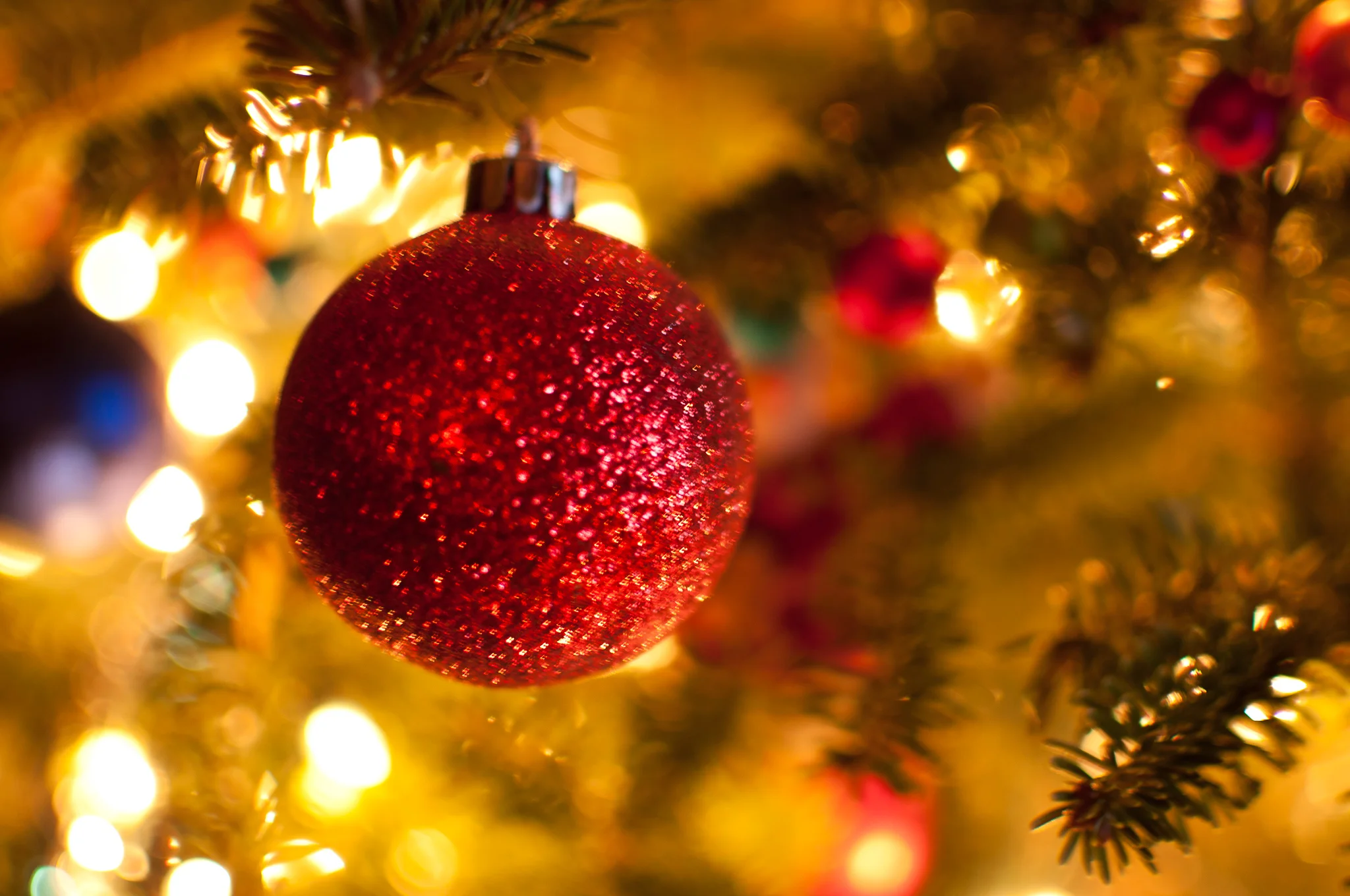 Christmas Stock Photos Tree-1.jpg