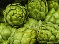 Natural foods that control diabetes
