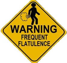 9. Flatulence Image.jpg
