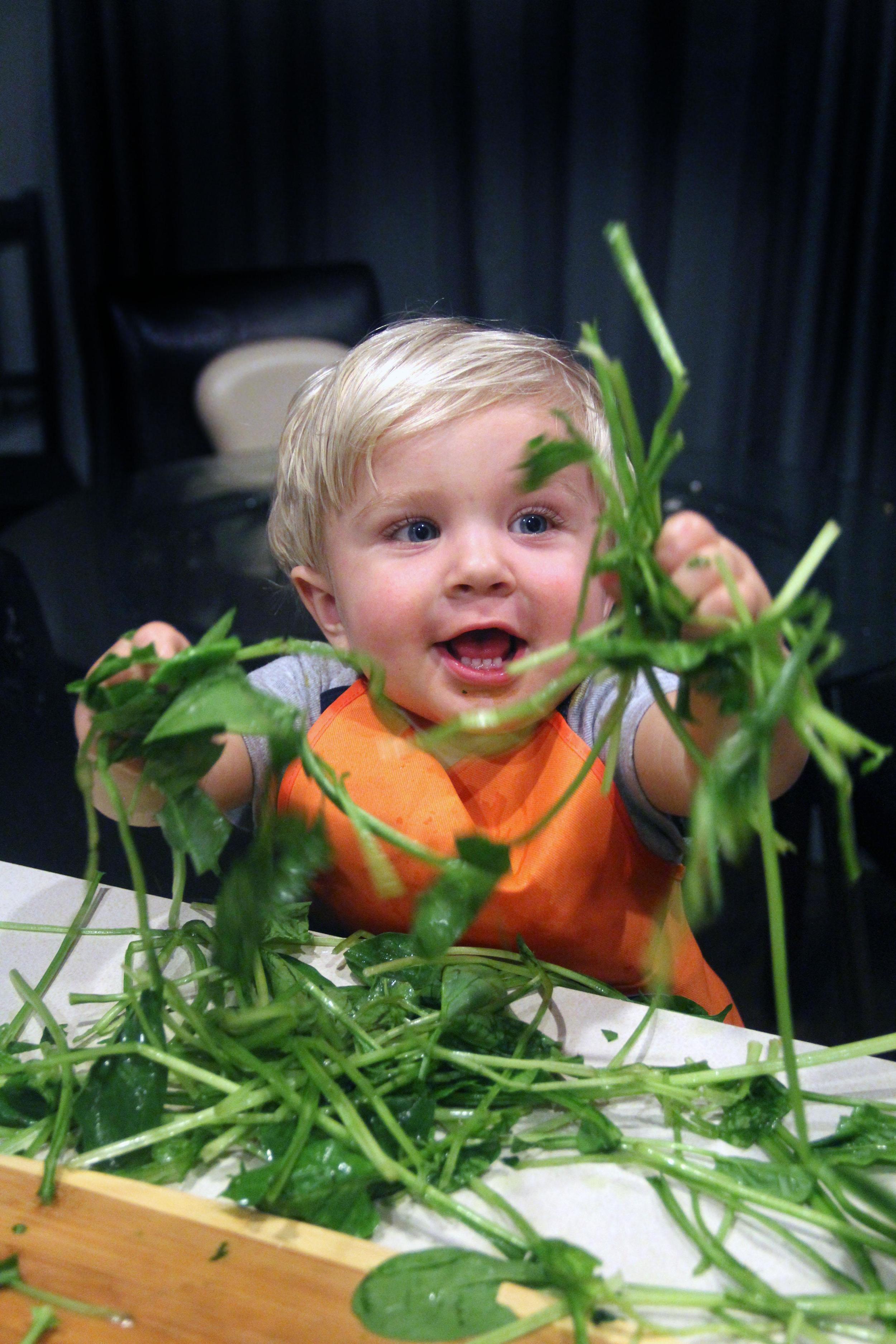 Green Vegetables Packed Full of Benefits for Great Nutrition