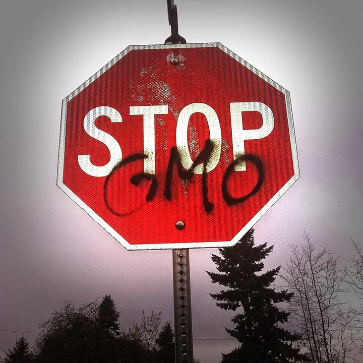 GMOs invade fruit industry: Apples, pears, cherries and peaches to all become unlabeled GMO