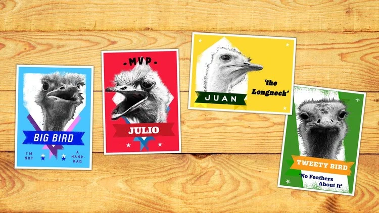 Snapple_365BasballCards.jpg