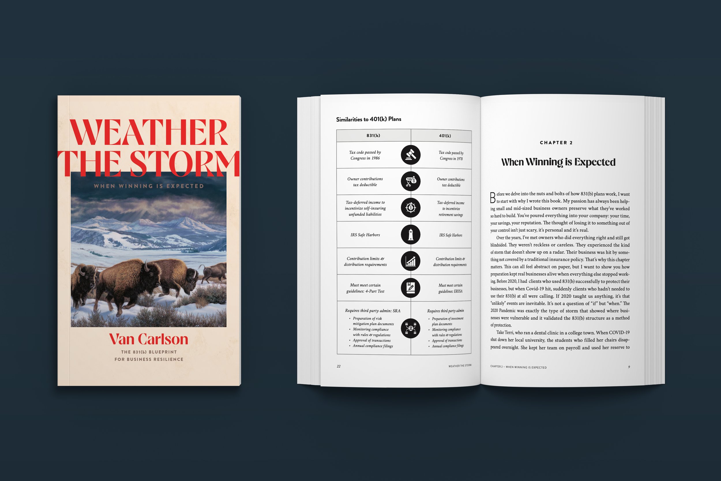 Weather The Storm – full book cover, interior book layout, and ebook design